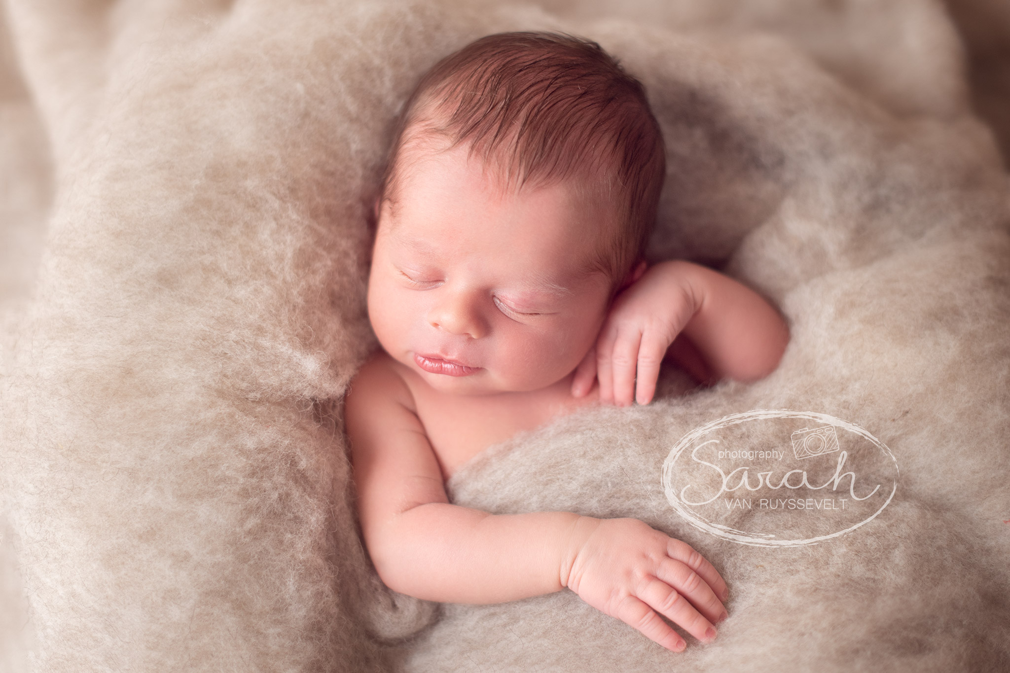 Sarah Van Ruyssevelt Photography, newborn