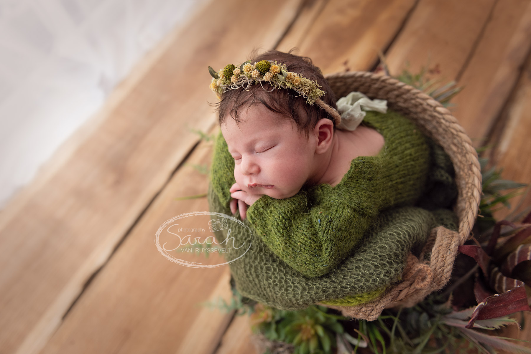 pasgeboren baby in mandje tijdens new born fotografie Vlaams-Brabant