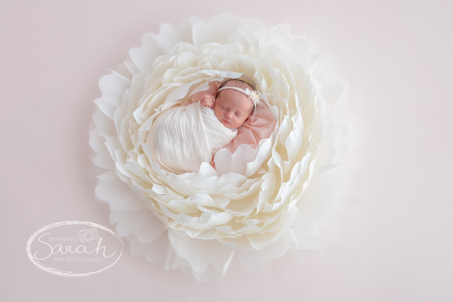 newborn fotoshoot Vlaams-brabant in bloem in Anne Geddes stijl. © Sarah Van Ruyssevelt Photography